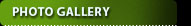enquiry